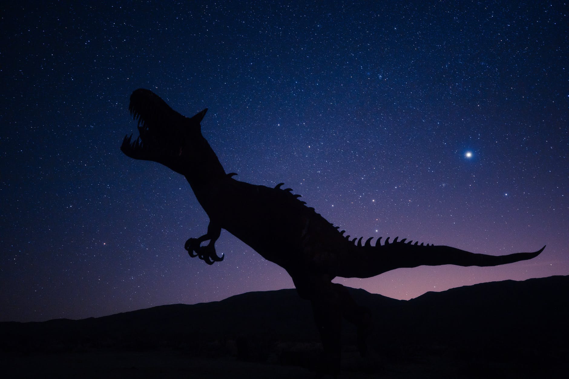 silhouette of dinosaur on night sky